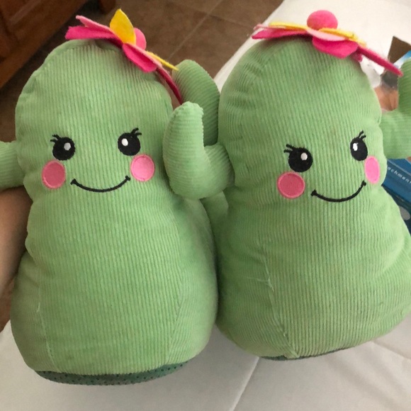 cactus slippers